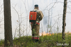 Спасатели из ЯНАО помогут тюменцам с тушением пожаров