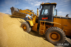 ЕС намерен опустошить хранилища зерна на Украине