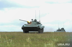 Bild: Шольц специально затягивает поставки вооружения на Украину