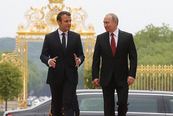 Французы высмеяли постоянные звонки Макрона Путину. «Просит дать каши»