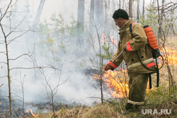 В ХМАО рассказали о причинах возникновения природных пожаров