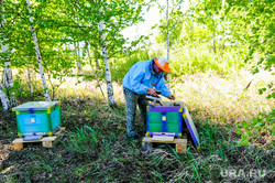 Челябинское министерство ответило на претензии пчеловодов