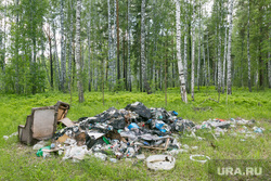 Курганцы жалуются на мусор, разбросанный в местах отдыха. Скрин