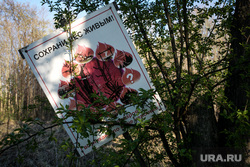 Свердловчане объединяются, чтобы спасти бурундуков от пожара. Фото