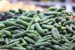 В Россельхознадзоре заявили о планах поставлять овощи в Европу