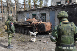 Военные РФ уничтожили до 80 наемников «Иностранного легиона»