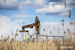 На Западе произошел раскол из-за введения предельной цены на нефть РФ