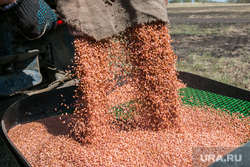 Reuters: Москва просит снять санкции с Россельхозбанка для экспорта зерна