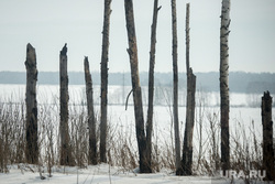 Свердловчан насторожили необычные находки в лесу. Фото