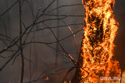 Евгений Куйвашев подписал распоряжение о пожарной безопасности в лесах