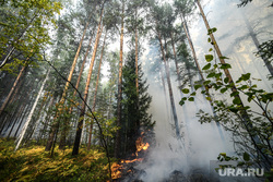 В Свердловской области горит лес. Видео