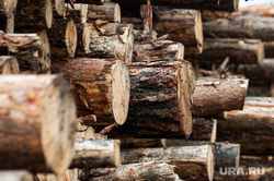 Свердловские лесопромышленники включились в гособоронзаказ