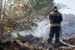 Количество пожаров в Свердловской области идет на уменьшение