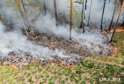 Пермский ученый предложил бороться с лесными пожарами огнем