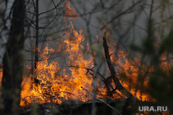 В Усть-Катаве продолжают тушить лесной пожар