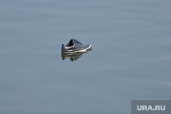 На озере Большой Кисегач утонул мужчина. Фото