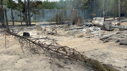Что происходит в селе Шайдуриха, где огонь уничтожил десятки домов. Фоторепортаж