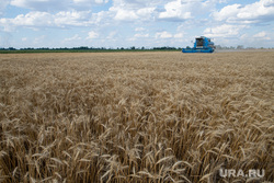 В Кремле заявили о прекращении зерновой сделки