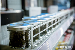 Ученые ЗапСибНОЦ помогут снизить цену на черную икру в «тюменской матрешке»
