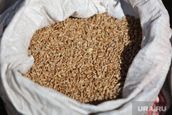 Компания из Китая обсудила закупку зерна с курганскими властями