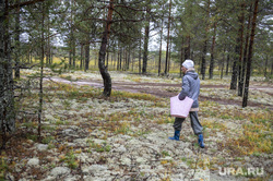 В Челябинской области с начала года пропало 92 грибника