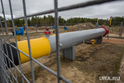Что известно о повреждении газопровода между Финляндией и Эстонией