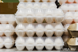 Генпрокуратура проверит взлетевшие в России цены на яйца