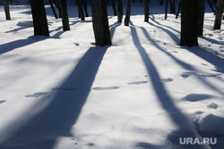 Молодой житель Пермского края избил знакомого и оставил умирать на снегу