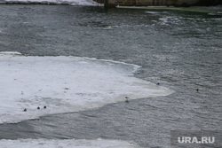 В Златоусте школьники устроили опасный сплав на льдине по реке Ай. Видео