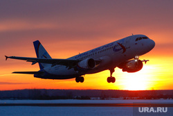 Пилотов «Уральских авиалинией», посадивших самолет под Новосибирском, отстранили