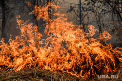 Рослесхоз признал Тюменскую область готовой к пожароопасному сезону