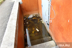 В Кунгуре жители живут в домах, затопленных фекальными стоками. Фото