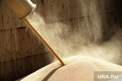 ЕС впервые сократил закупки зерна из Украины с начала протестов фермеров