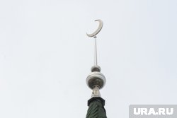 В Тюмени на крыльцо мечети подкинули останки свиньи. Фото