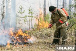 В лесу ЯНАО разгорелись три больших пожара