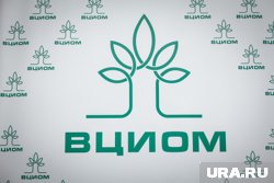 ВЦИОМ сообщил о росте положительного отношения россиян к мигрантам