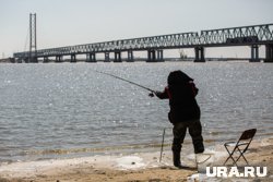 Житель ХМАО заплатит полмиллиона рублей за вылов стерляди и осетра