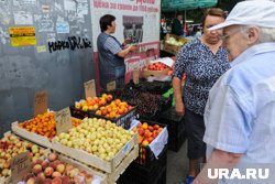 ЛДПР в Пермском крае предложила кратно увеличить штрафы за незаконную торговлю