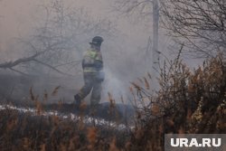 Голубев раскрыл последствия массовых пожаров в Ростовской области