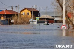 Курганской пенсионерке выдали сертификат на капремонт после публикации URA.RU