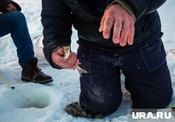 Кучу рыбы наловил курганец на озере Камаган. Фото