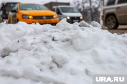 Когда выгоднее заказывать такси в Новый год в Кургане. Скрин