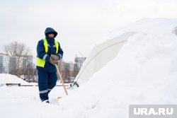 Правительство поддержало закон об ужесточении наказания для нелегалов