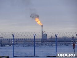 Reuters: на Украине осталось 10% запасов газа