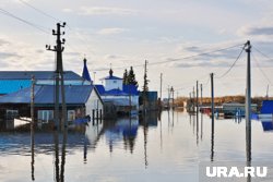 Погодные аномалии и проблемы с питанием в школах: главные новости Кургана за 30 января