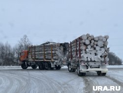 Из Прикамья стали вывозить больше леса в Туркменистан