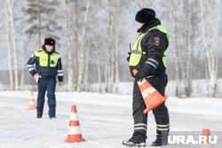 В тюменском селе водитель мотоблока скончался за рулем. Фото