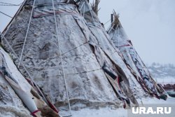 В ЯНАО впервые выдали чумовой капитал за второго ребенка