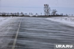 Тюменская трасса стала опасной для поездок из-за метели. Видео