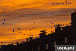 Какой силы будет магнитная буря в День защитника Отечества: прогноз солнечной активности 23 февраля 2025